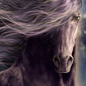 Meet your Posher, Eva